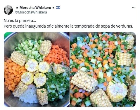 verduras, sanitizar, tomates, morrones, frutas, berenjenas, cebollas, choclo,